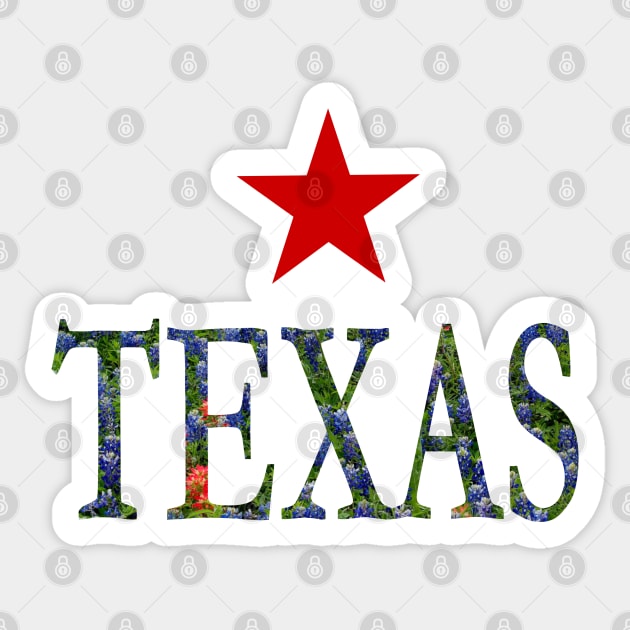 Texas Bluebonnets Word Art - LoneStar State Flowers Sticker by Star58